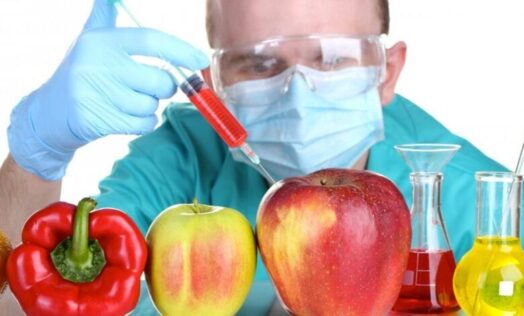 ГМО-продукты и здоровье: научные факты и мифы